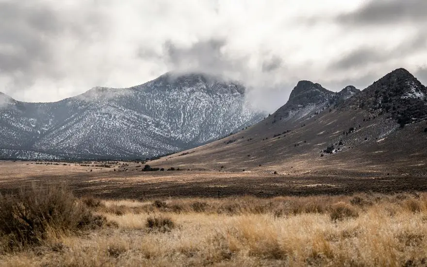 Fallon, NV