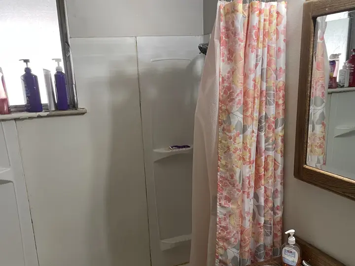 Clemson bathroom before